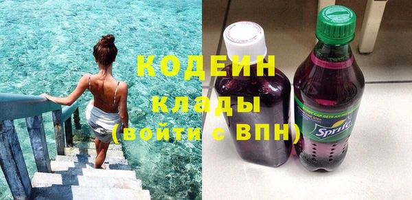 стаф Богданович